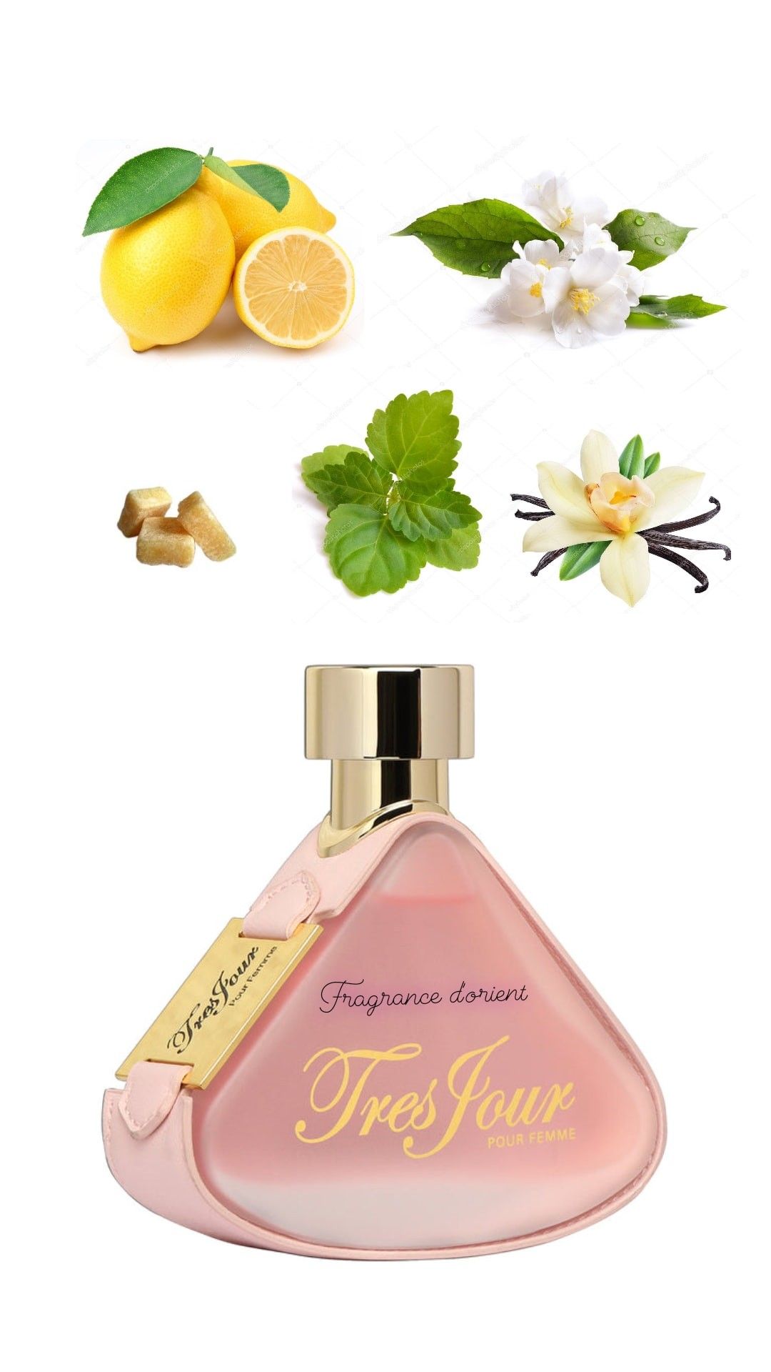 Armaf Tres Jour Eau De Parfum